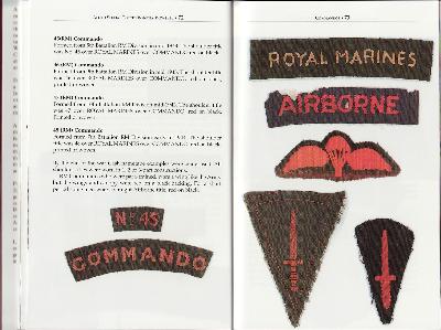[Thumb - X46-Pages 72 & 73 of 'Allies Speaial Forces Insiginia 1939 - 1948 by Peter Taylor..jpg]