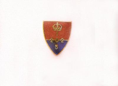 [Thumb - AU. lapel badge.jpg]