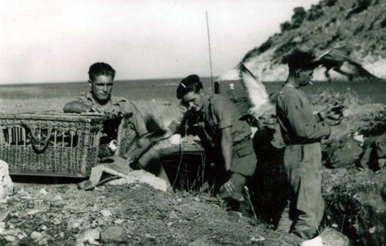 Signallers from No 2 Commando at Sarande