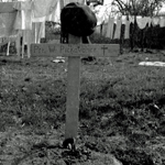 Grave of Rfn. Pickavance 6 Commando