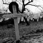 Grave of Private Thomson 6 Commando